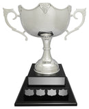 Nickel Plated Dublin Annual 2 Tier Cup
