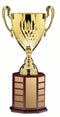 Gold Annual Cup on Wooden Hexagon Base