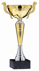 Economy Series Silver and Gold Cup with Handles