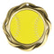 Fusion Softball Medal