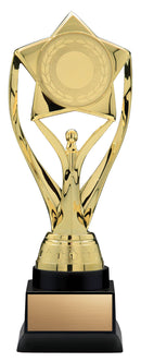 Reflex Series Star Insert Holder Trophy