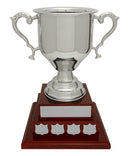 Nickel Plated 2 Tier Annual Dundee Cup