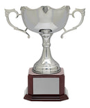 Nickel Plated Dublin Cup