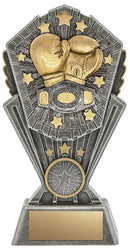 Resin Cosmos Series Boxing Trophy
