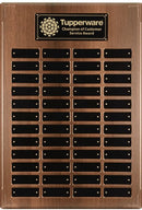 Applause Perpetual Plaque - shoptrophies.com