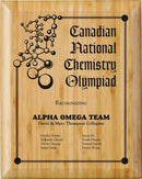 Bamboo Paint Filled Plaque - shoptrophies.com