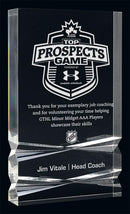 Clear Illusion Acrylic Award - shoptrophies.com