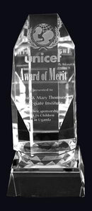 Crystal Newcastle Award - shoptrophies.com