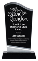 Denali Black Glass and Crystal Award - shoptrophies.com