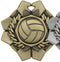 Imperial Volleyball Medal - shoptrophies.com