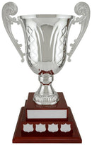 Mancini Annual Cup on Medium Piano Finish Base - shoptrophies.com