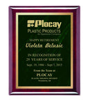 Marble Mist Series Piano Finish Plaque - shoptrophies.com