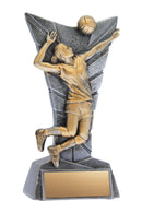 Resin Delta Volleyball Trophy - shoptrophies.com