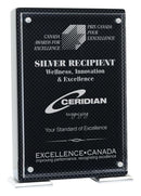 Vista Carbon Fiber Plaque with Acrylic Plate - shoptrophies.com