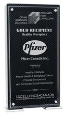 Vista Carbon Fiber Plaque with Acrylic Plate - shoptrophies.com