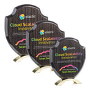 https://d2a4od9fu45l0p.cloudfront.net/image/master/hires/3e81f674db664fc093b759286b54ea70.jpg