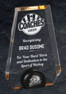 Pinnacle Stamped Acrylic Award