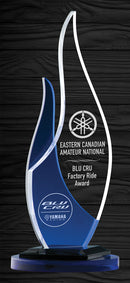 Freeform Fire & Ice Acrylic Award