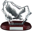 Eagle In Flight Glass Award