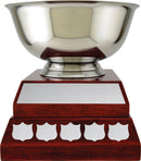 Metal Stainless Steel Revere Bowl Annual Cup