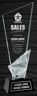 Vertex Optic Crystal Award