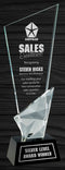 Vertex Optic Crystal Award