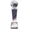 Collegiate Series Crystal Globe Award