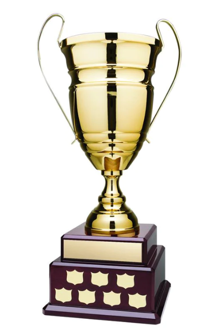Trophy cups, perpetual cups, annual cups. Assortment of top quality award cups with engraving. Great pricing, fast shipping.