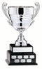 Silver Annual 2 Tier Black Base Cup