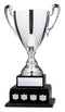 Silver Annual 2 Tier Cup