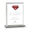 Sanford Gemstone Award - Ruby