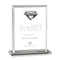 Sanford Gemstone Award - Diamond