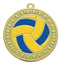 Iron Sunray Volleyball Medal