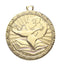 Triumph Academic Medal