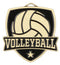 Varsity Star Volleyball Medal