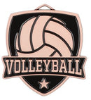 Varsity Star Volleyball Medal