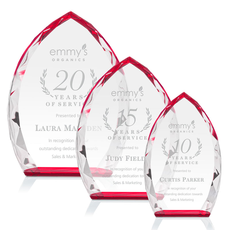 Wilton Optical Crystal Award