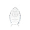 Wilton Optical Crystal Award
