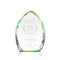 Wilton Optical Crystal Award