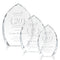 Wilton Optical Crystal Award