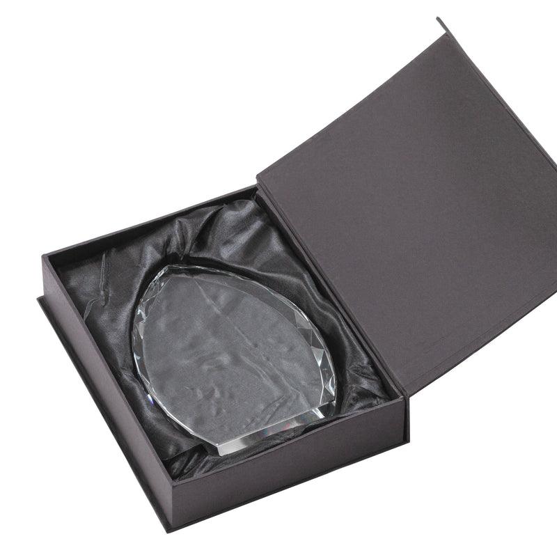 Wilton Optical Crystal Award