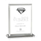 Sanford Gemstone Award - Diamond