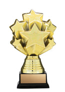 Nexus 3-D Starburst Trophy