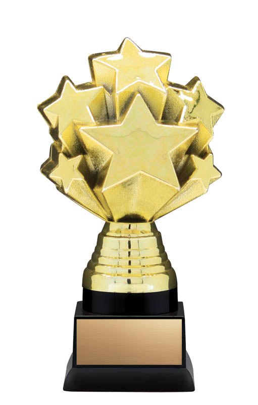 Nexus 3-D Starburst Trophy