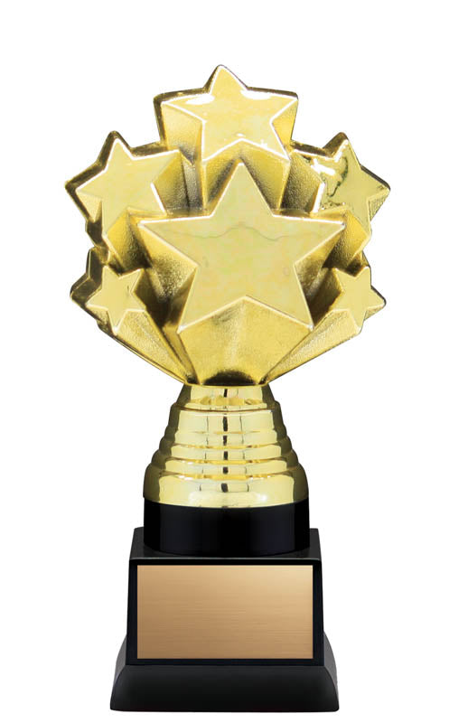 Nexus 3-D Starburst Trophy