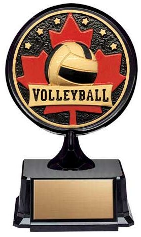 Resin Apex Mini Volleyball Patriot Trophy