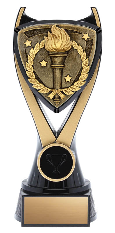 Spirit Series Victory Trophy