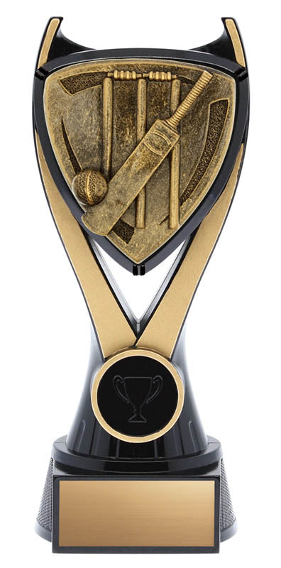 Spirit Series Cricket Trophy