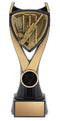 Spirit Series Cricket Trophy