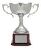 Nickel Plated Dublin Cup